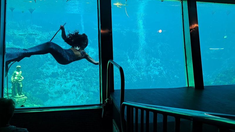 Mermaid Show At Weeki Wachee Springs State Park