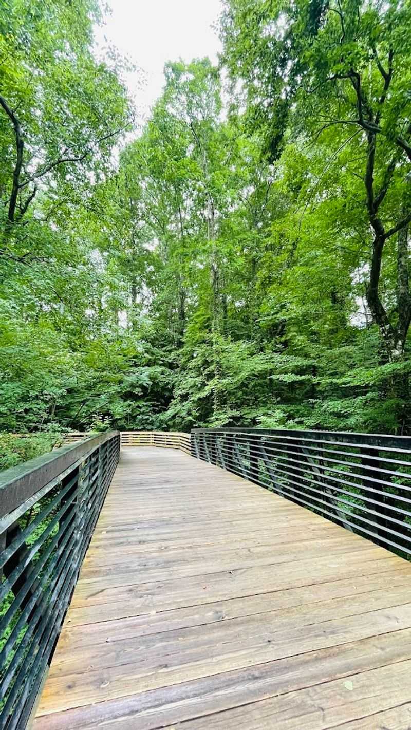 The Raised Wooden Boardwalks Are Truly One Of A Kind