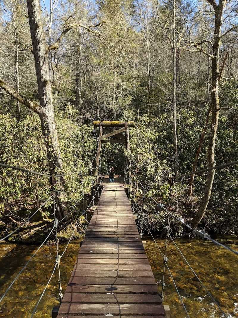 Turkey Pen Gap Trail
