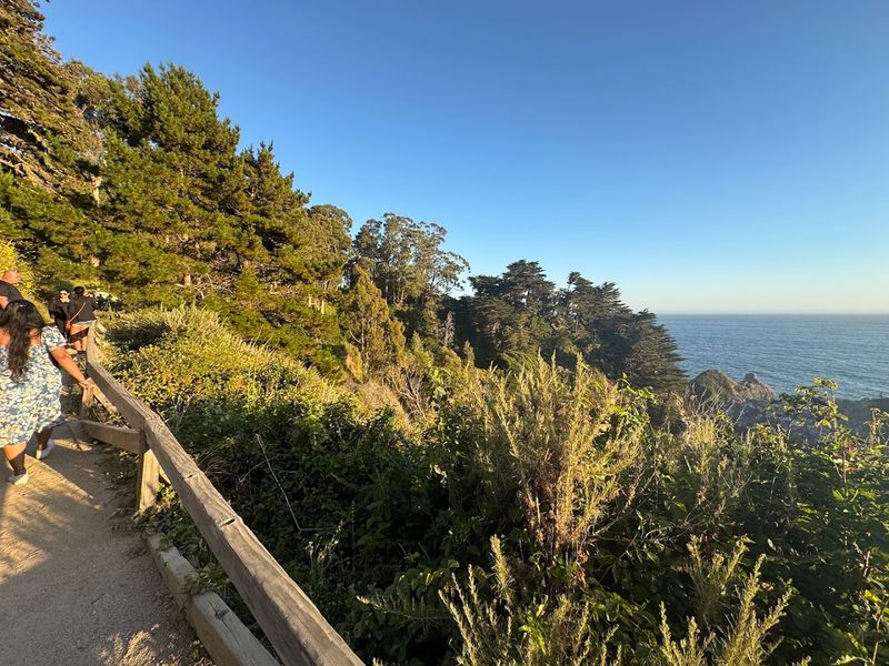 McWay Falls and the Cinematic Pull of Julia Pfeiffer Burns State Park