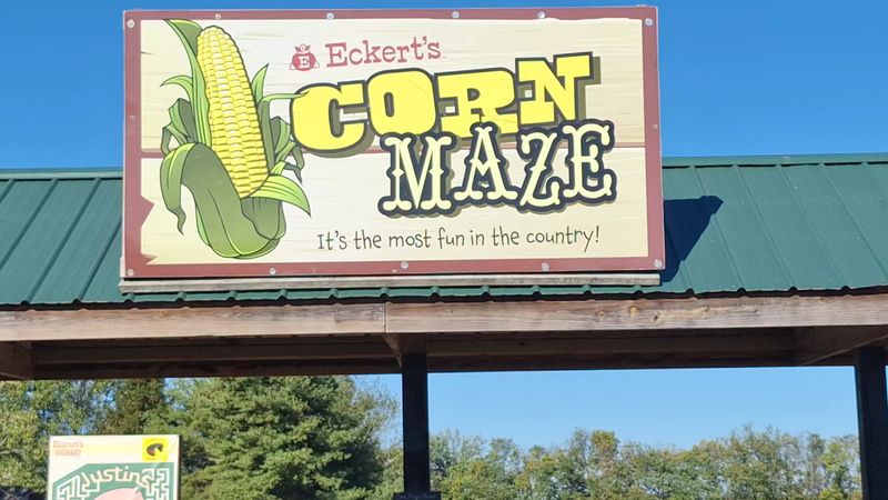 A Corn Maze Worth Getting Lost In
