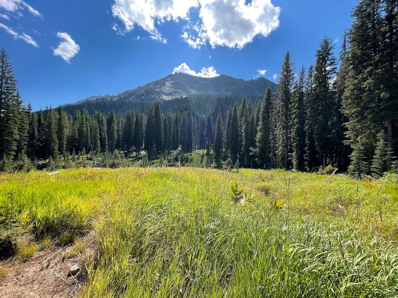 Bitterroot Mountain Scenery