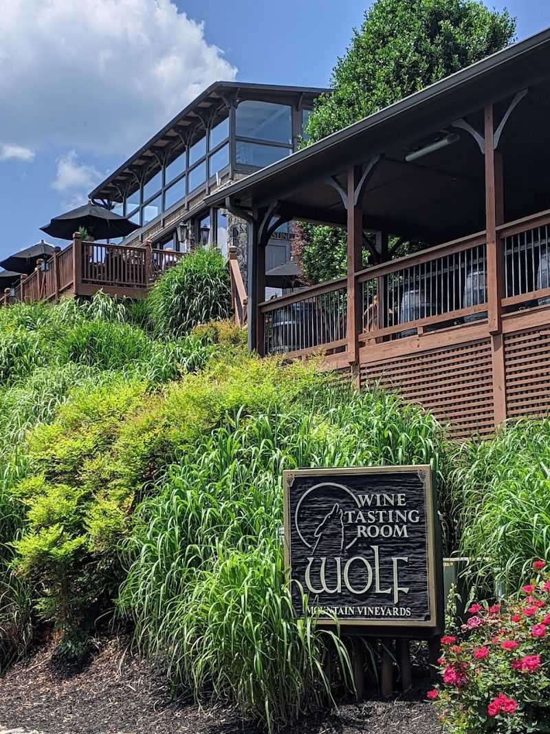 Wolfpen Ridge Winery: Mountain Wine With A View Worth Savoring
