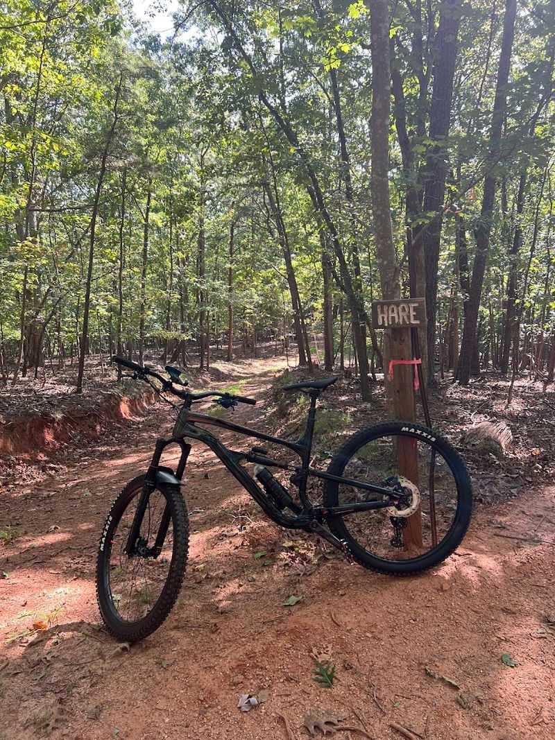 14 Remote Georgia Pedaling Destinations That Feel Impossibly Peaceful - Decor Hint Chicopee Woods Mountain Bike Trails