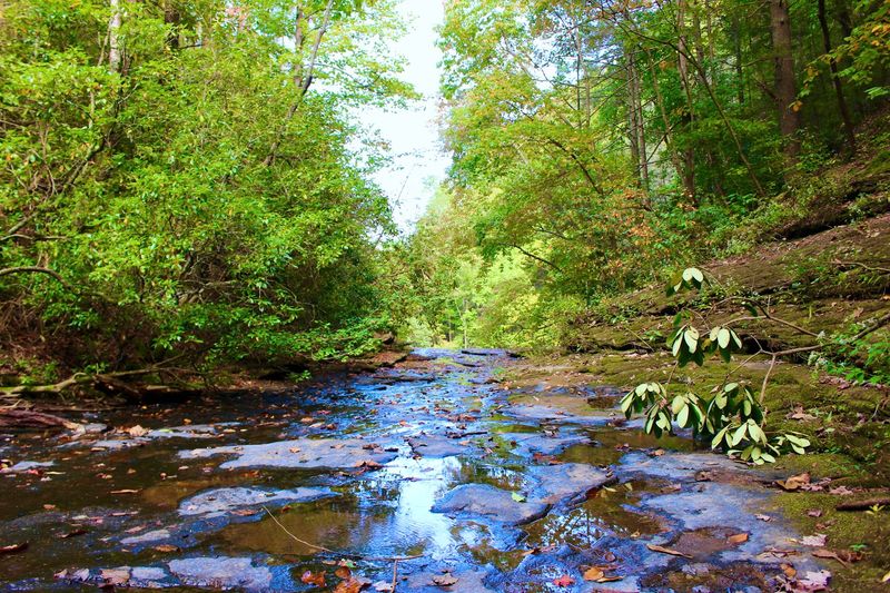 Cloudland Canyon State Park