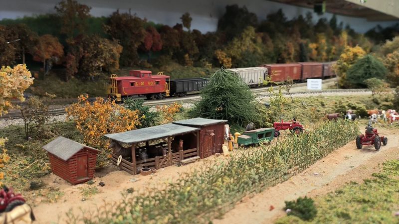 Fall Foliage Viewing: One of Georgia's Best Kept Secrets