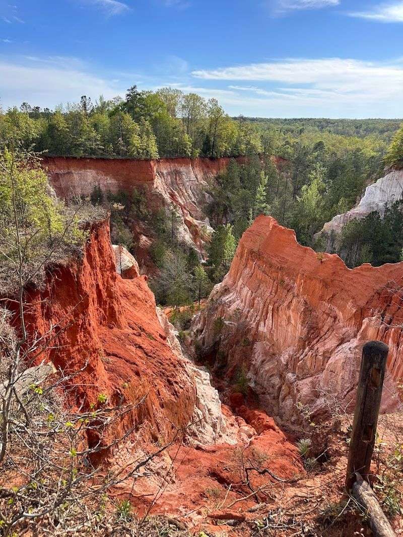 Providence Canyon Observation Area, Omaha