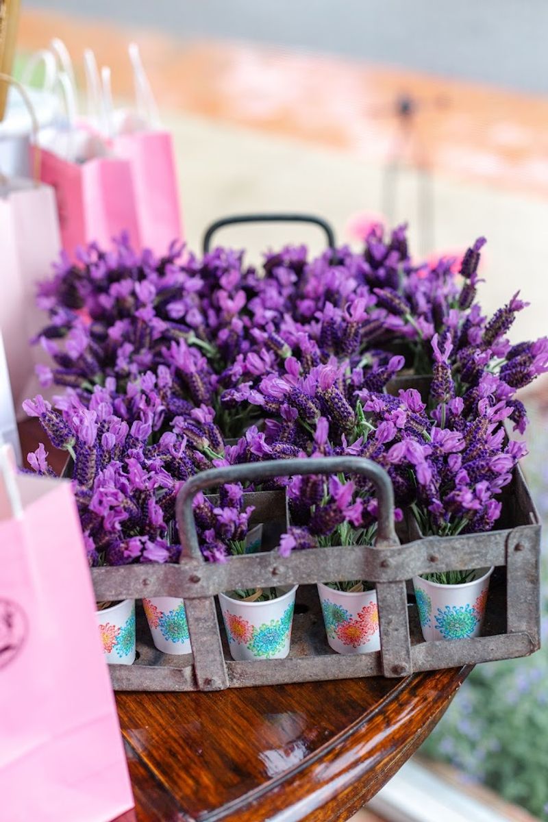 This North Carolina Lavender Farm Serves High Tea Beside The Blooming Fields - Decor Hint U-Pick Lavender Bundles During Bloom Season