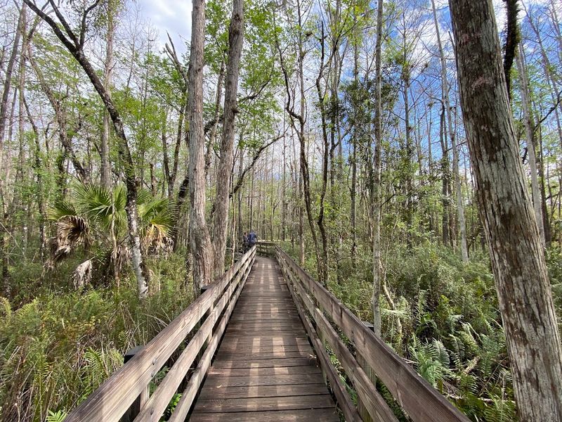Six Mile Cypress Slough Preserve