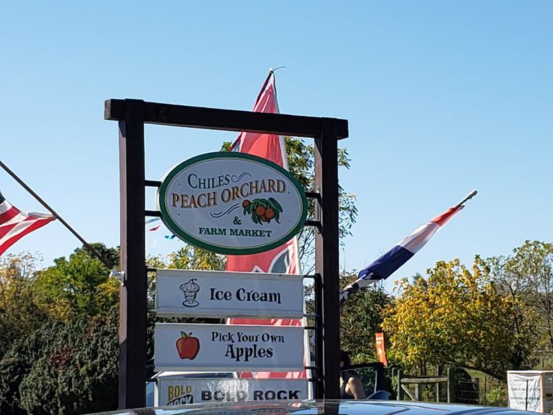 Apple Cider Donuts Worth The Drive Alone