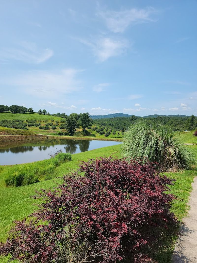 Mercier Orchards