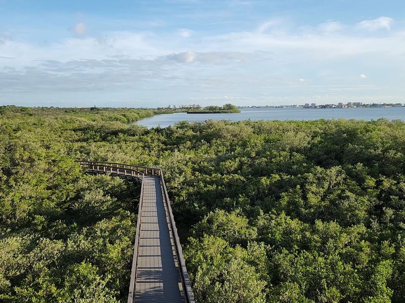 Bird Watching On The Great Florida Birding Trail