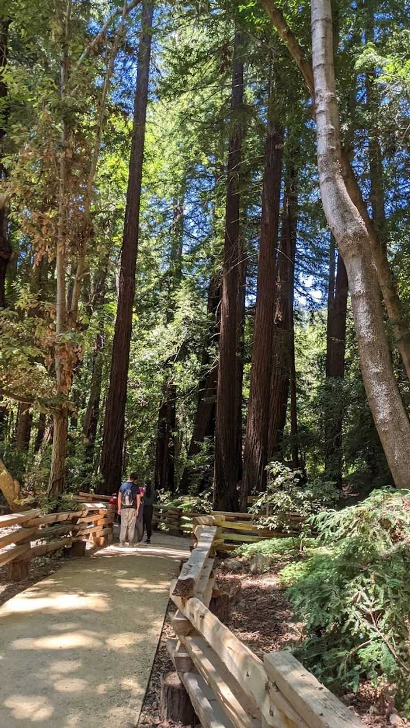 14 California Scenic Walks That Do Not Take Long But Still Deliver Big Views - Decor Hint Pfeiffer Falls Trail, Big Sur
