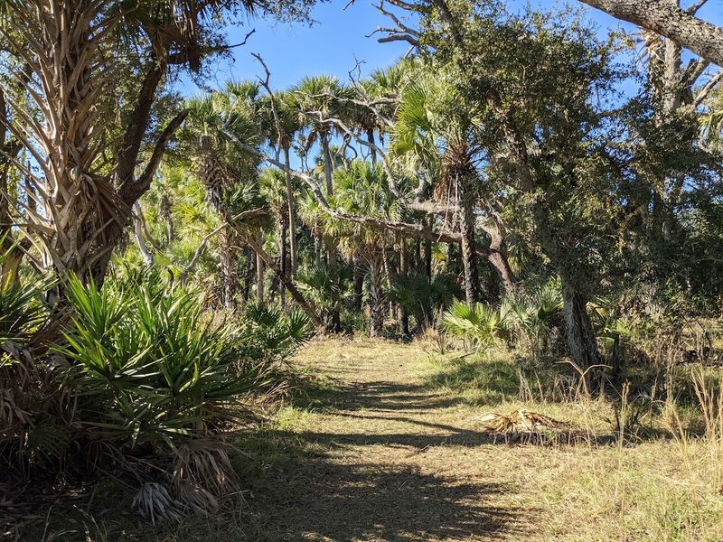 Kissimmee Prairie Preserve State Park