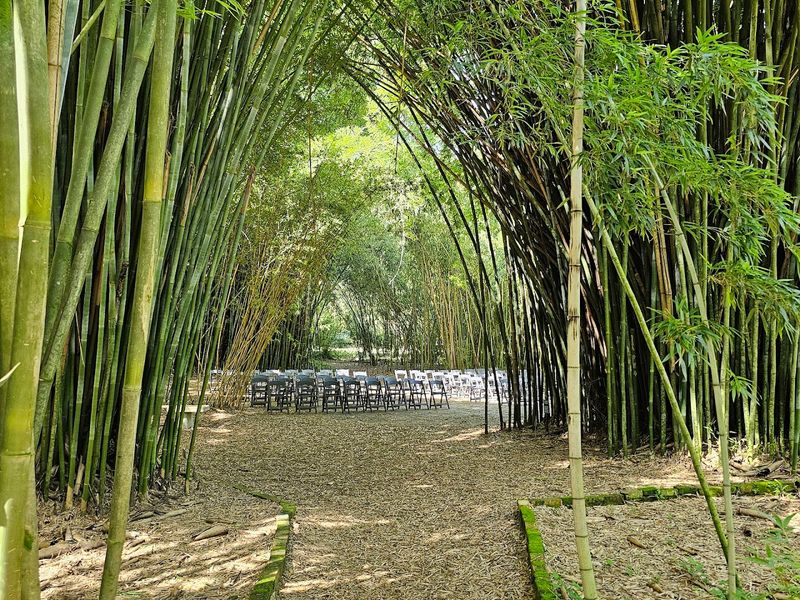 Kanapaha Botanical Gardens, Gainesville
