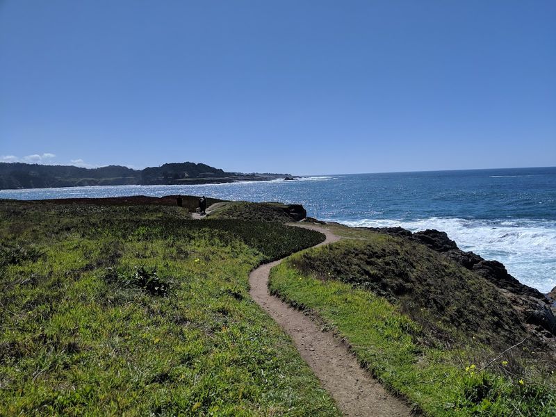 14 California Scenic Walks That Do Not Take Long But Still Deliver Big Views - Decor Hint Mendocino Headlands Trail, Mendocino