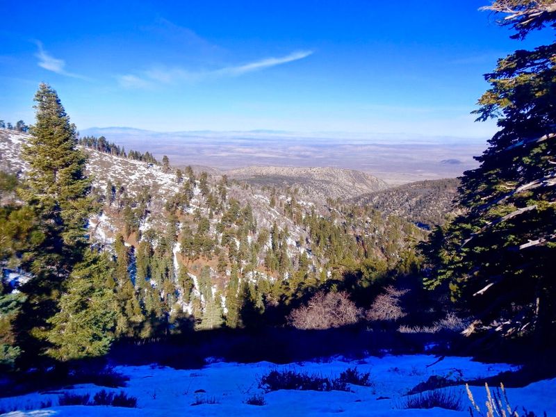Wrightwood, San Bernardino County, California