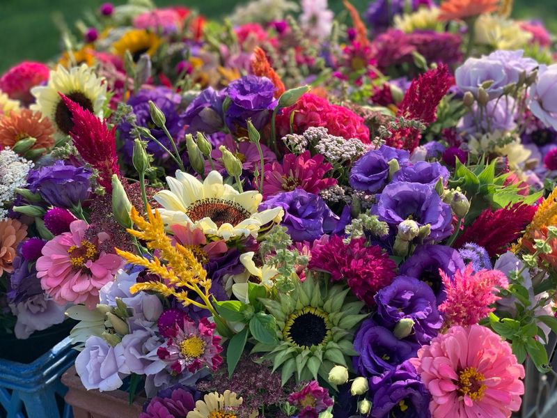 River Bend Blooms