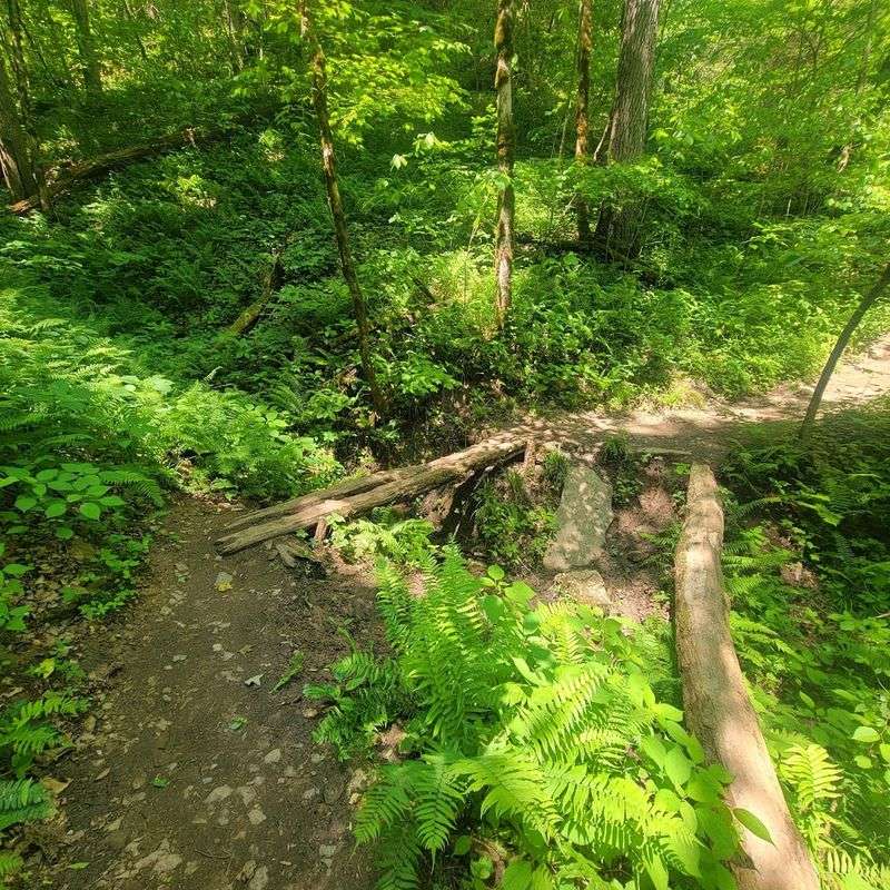 Short But Mighty Trail Length