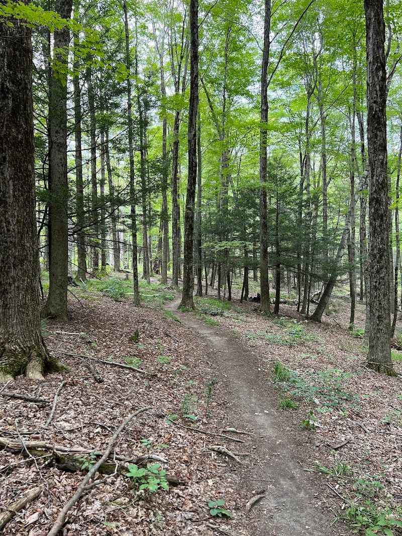 Accessible Hike That Rewards With Panoramic Scenery