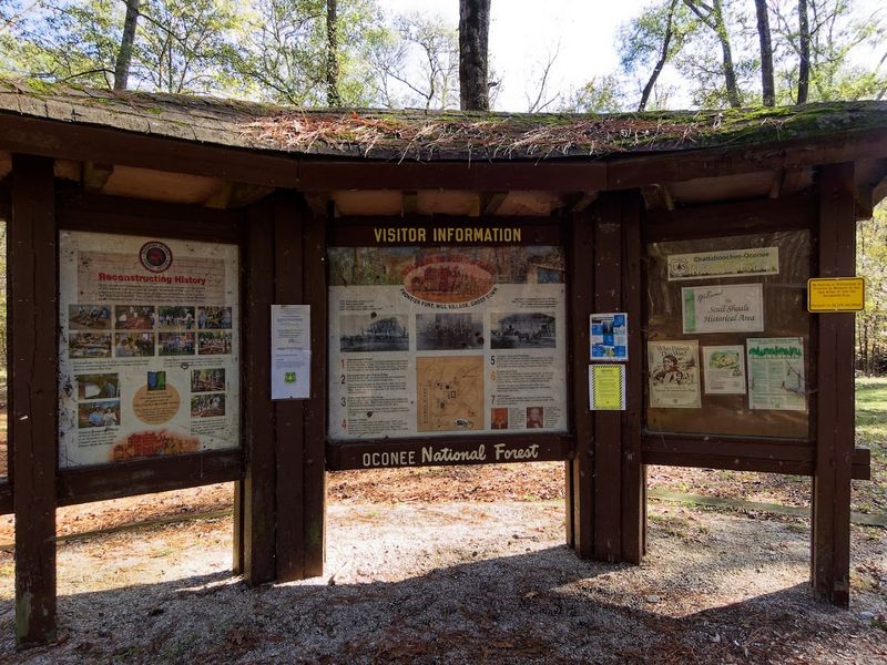 Fishing Along A Quiet Stretch Of The Oconee River