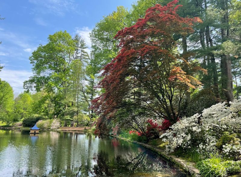 Attend Seasonal Events And Outdoor Programs
