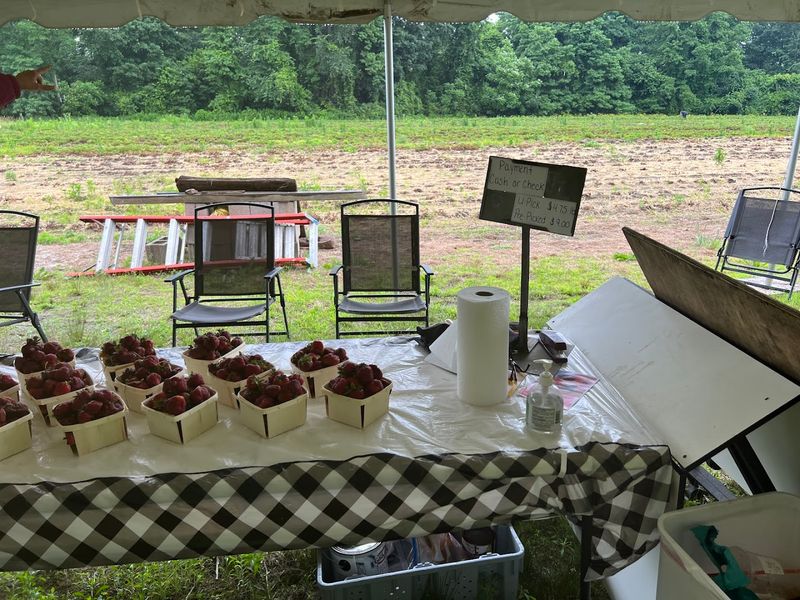 Farmstand Sells Jam, Produce, And Treats