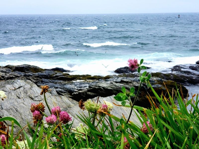 10 Charming Rhode Island Cities Where Summer Feels Absolutely Magical - Decor Hint Jamestown