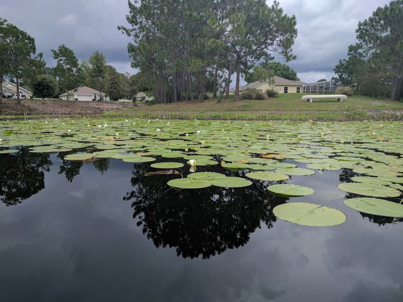 These Affordable Florida Cities Where Lower Costs Still Go Further - Decor Hint Deltona