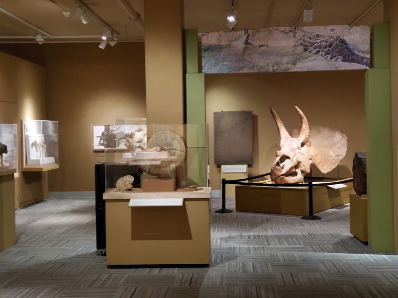 University Of Colorado Museum Of Natural History