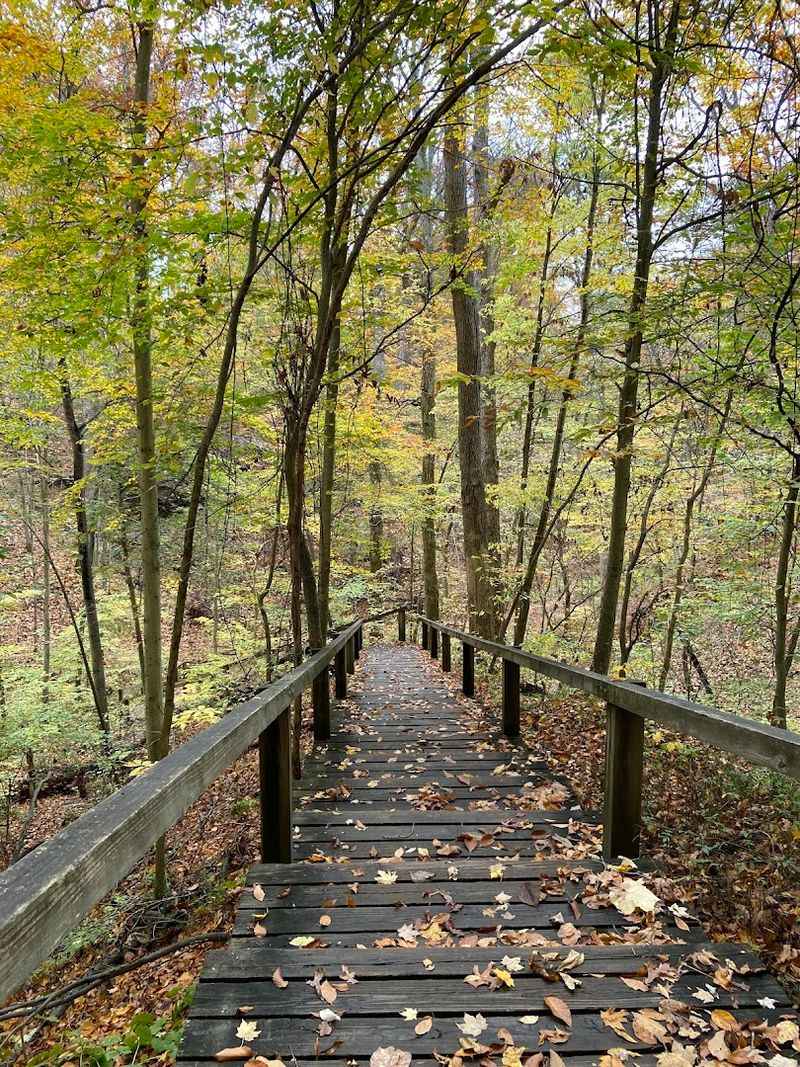 Turkey Run State Park