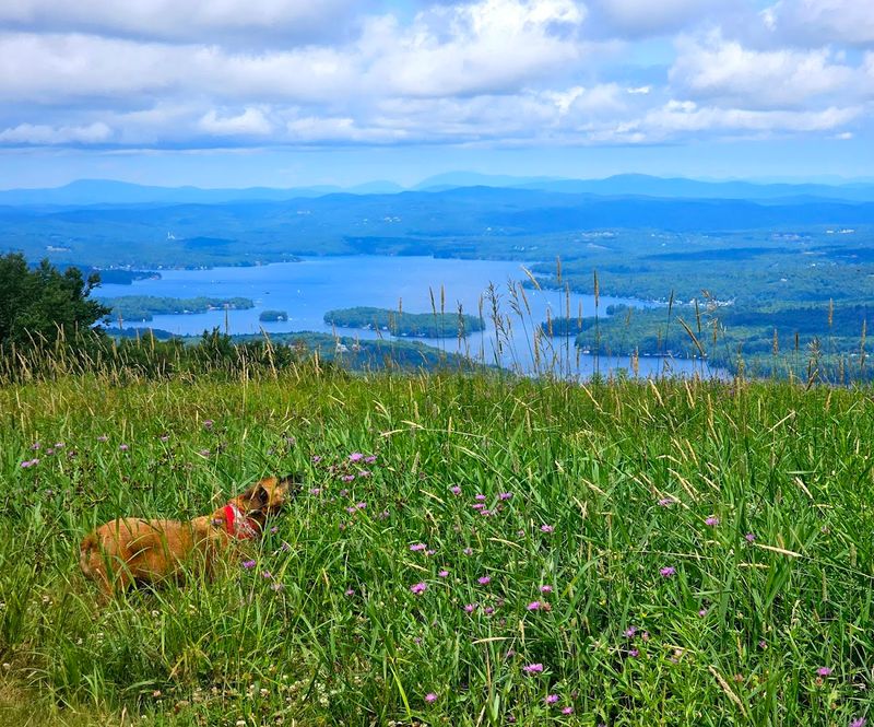 Mountain Views That Make Every Photo Worth Keeping