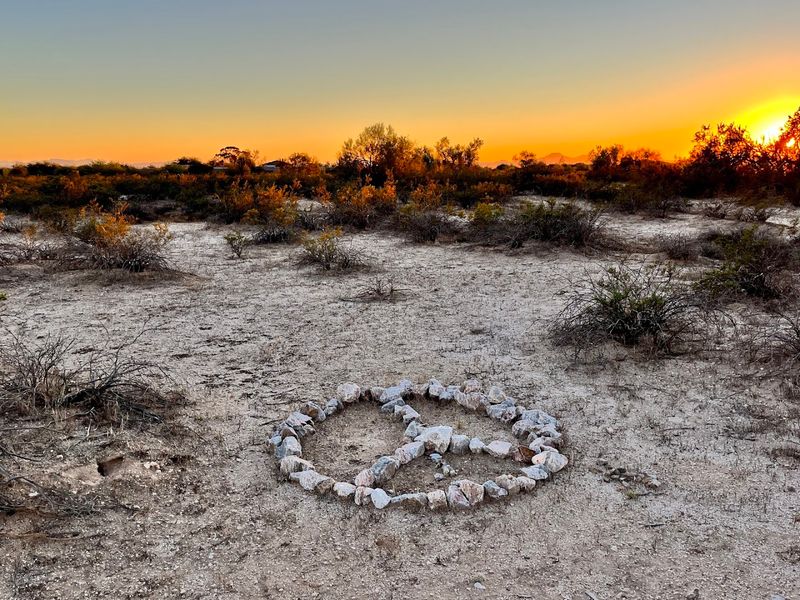 Building With What The Desert Gave You