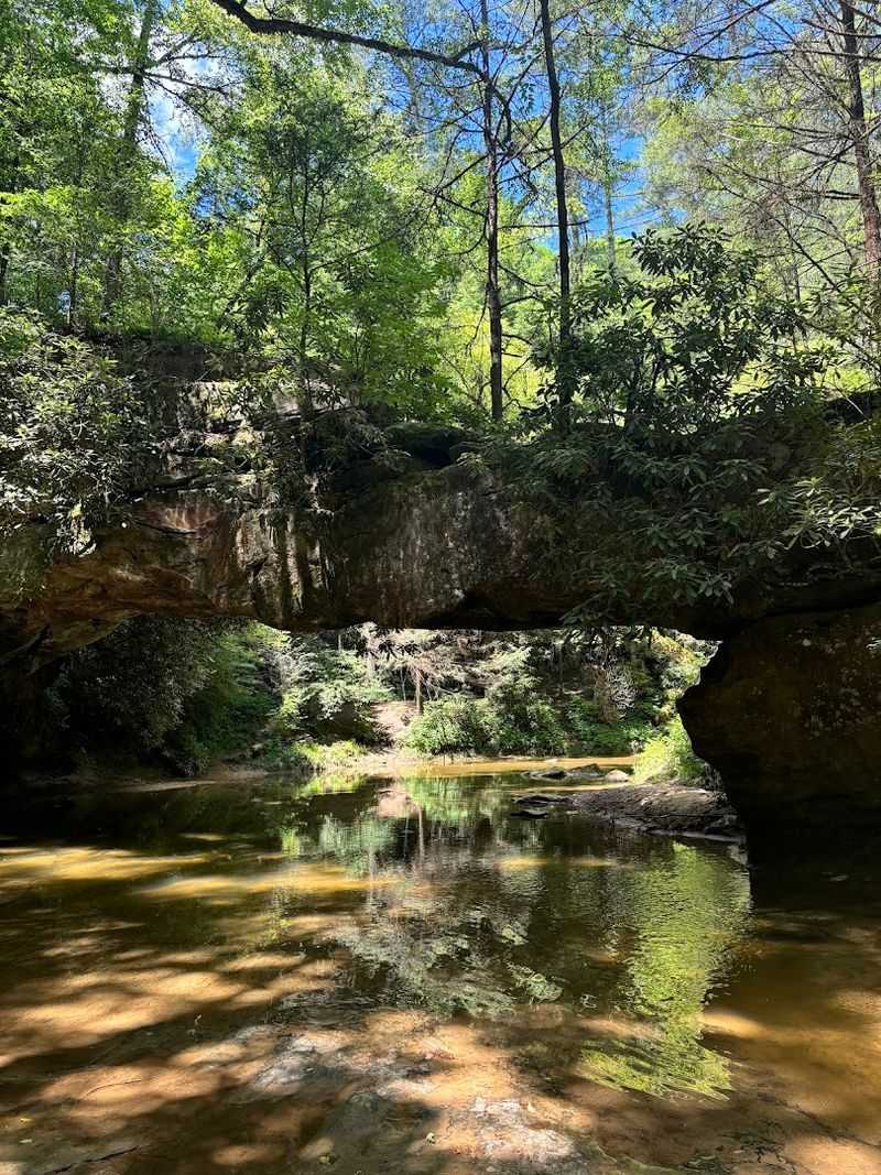 Rock Bridge Trail