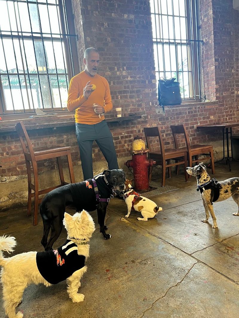 Dogs Play, You Eat, Nobody Compromises