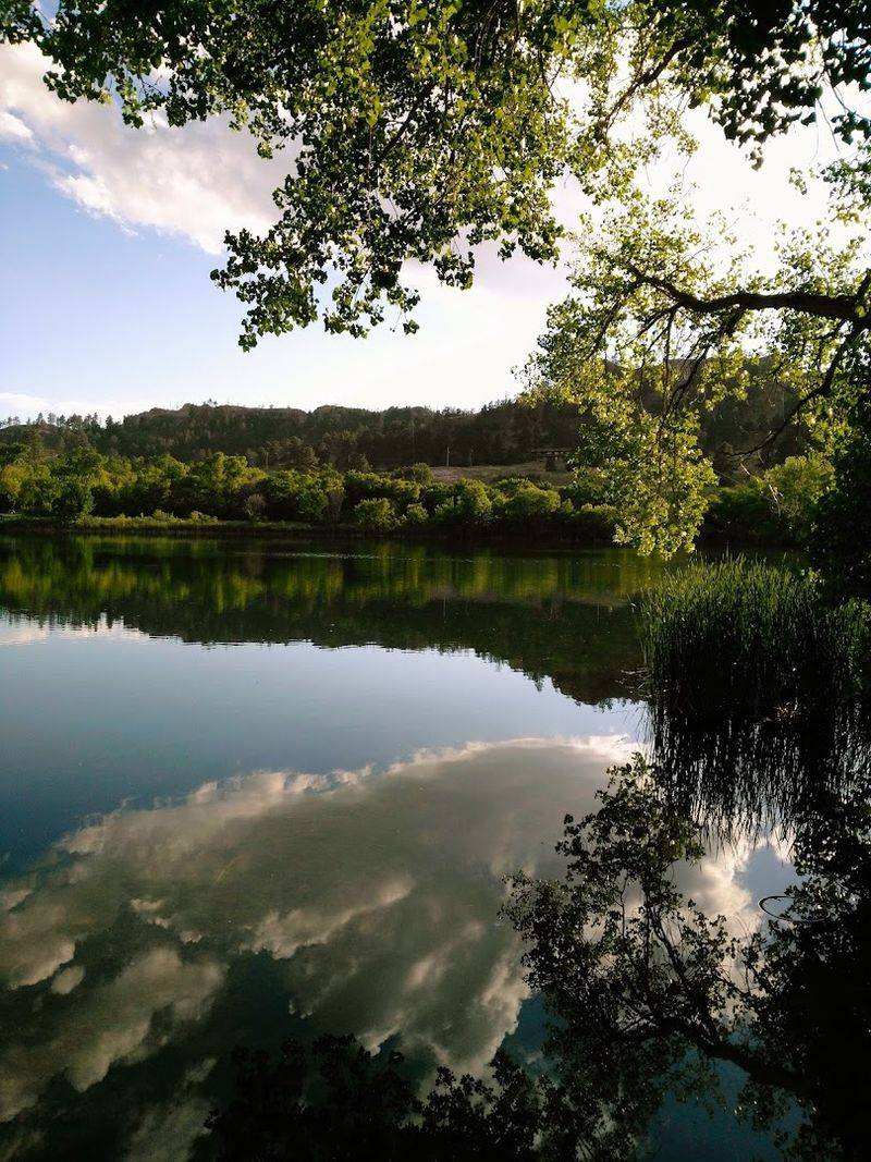 Connecting Trails And The Nebraska National Forest