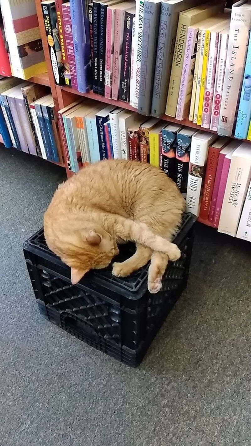 The Kind Of Quiet You Actually Want To Sit In