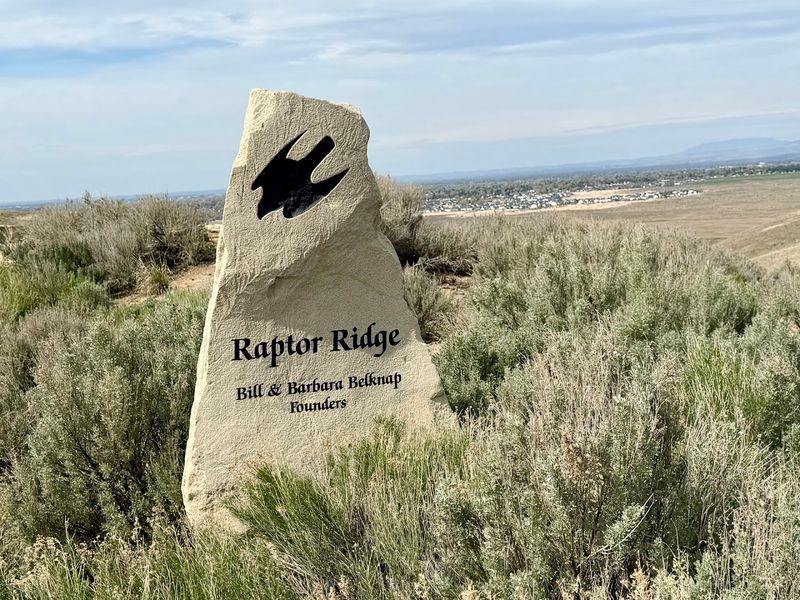 Sagebrush Trails With A Big Boise Overlook