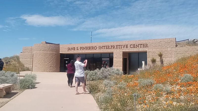 This Magical California Preserve Bursts With Millions Of Golden Poppies Every Year - Decor Hint Visit The Jane S. Pinheiro Interpretive Center For Context