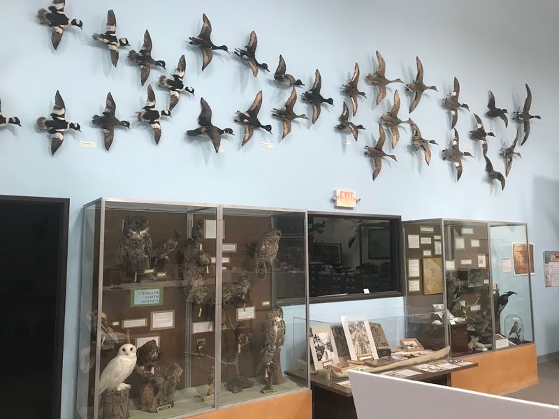Western Foundation of Vertebrate Zoology, Camarillo