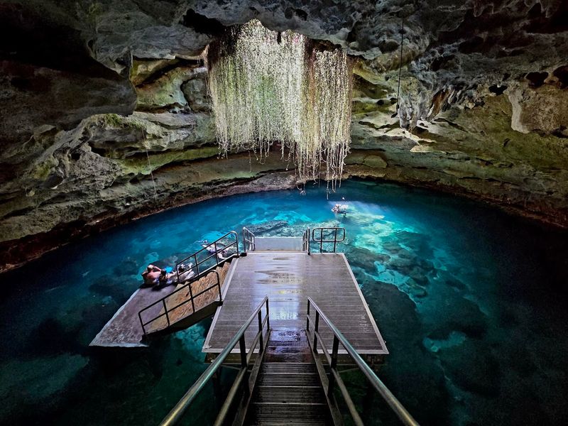 Florida Has A Natural Pool So Ancient And Otherworldly That Swimming In It Feels Like Diving Into Another Era - Decor Hint Best Time To Visit
