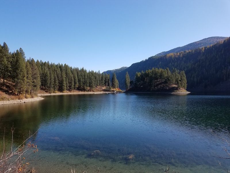 Wildlife And Eagle Watching