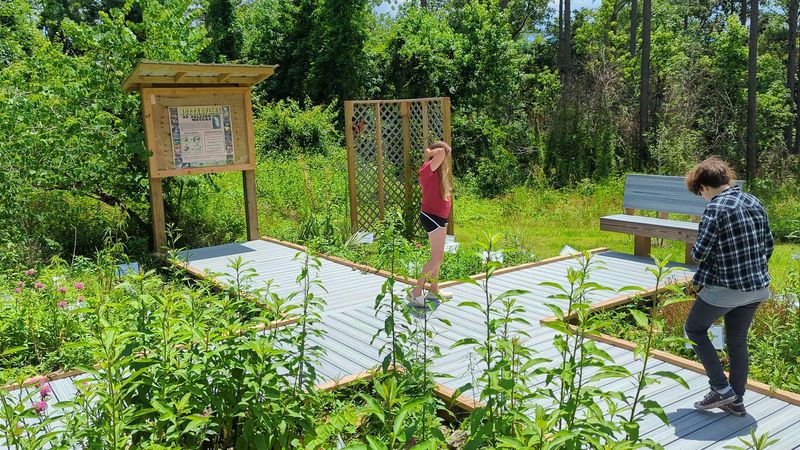One Of Florida's Most Unexpected Waterfall Spots Is Hiding Along This Trail - Decor Hint The Butterfly Garden Blooms With Surprising Color And Life