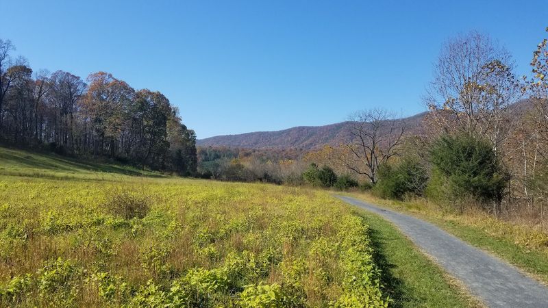 Mountain Biking Routes For Every Skill Level