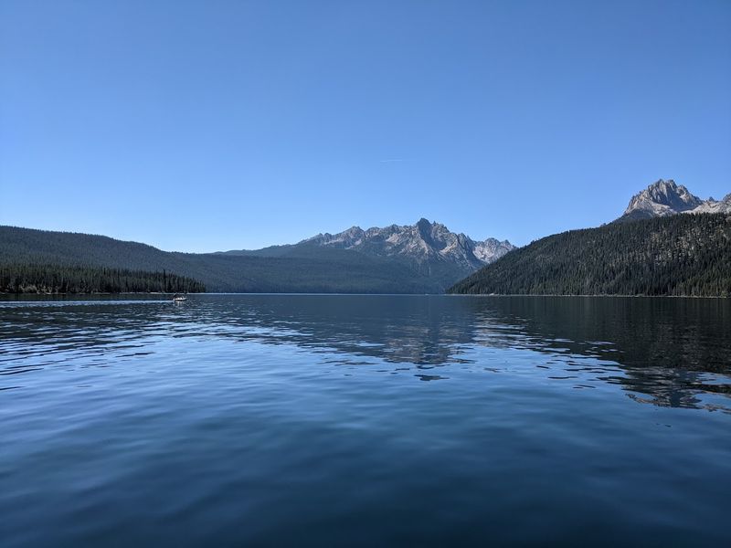 Fishing For The Thrill Of It