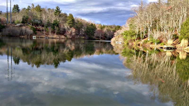 Wildlife Watching: Deer, Turkey, and More on Every Road