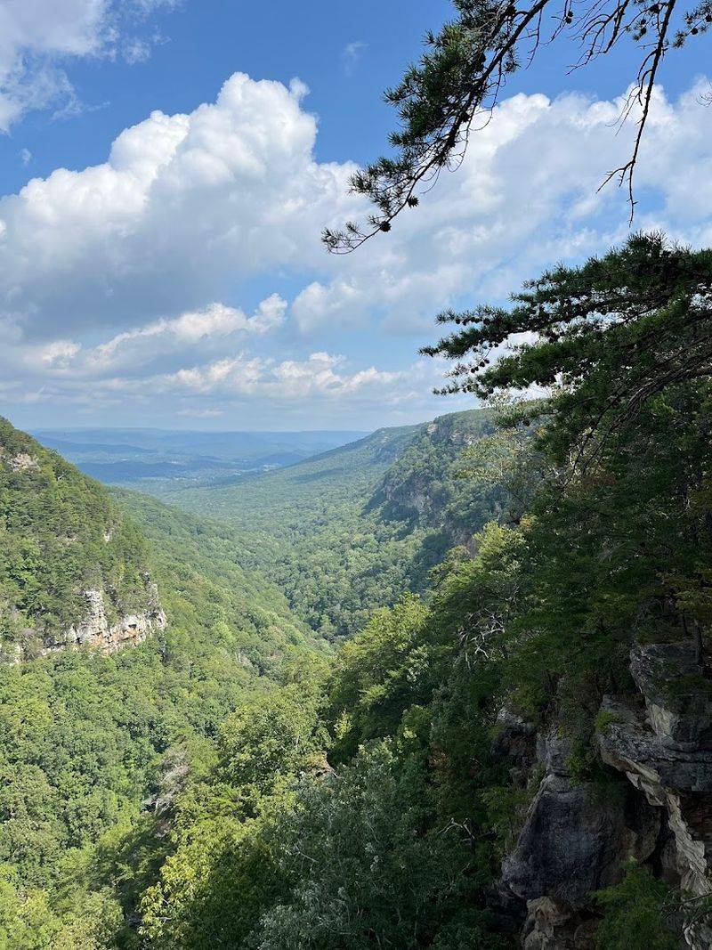 The West Rim Loop Trail Right From Camp