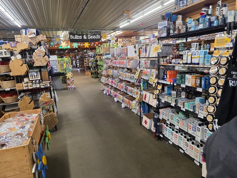 The Olive Oil And Specialty Sections