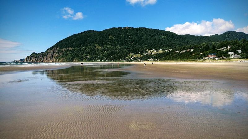 Manzanita