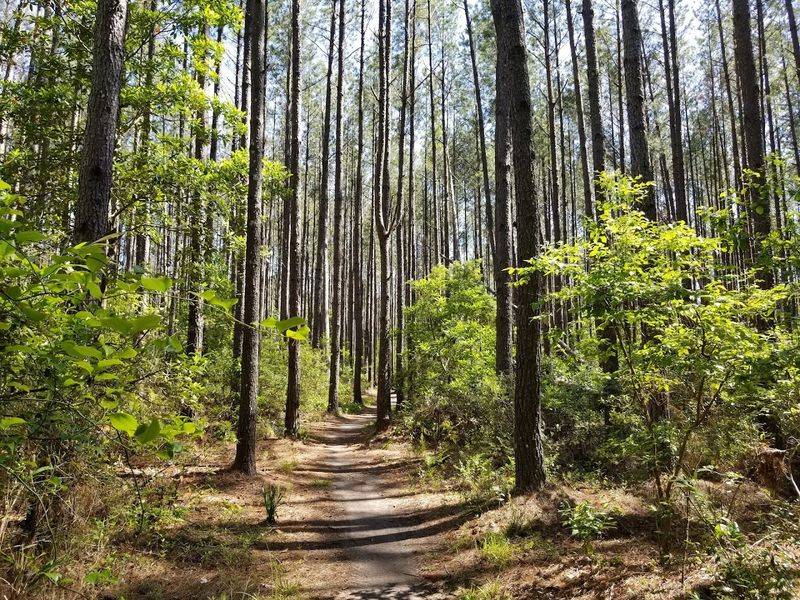Brunswick Nature Park